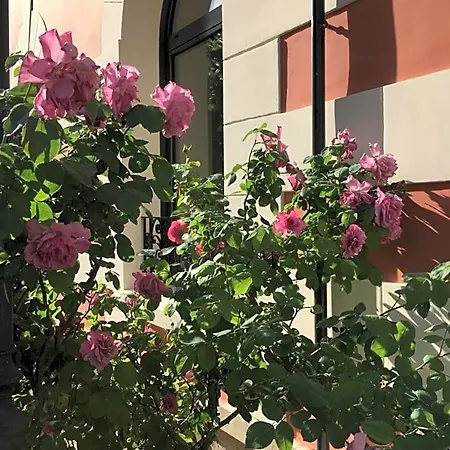 Frühstückspension Le Clos De La Pomponnette 4*