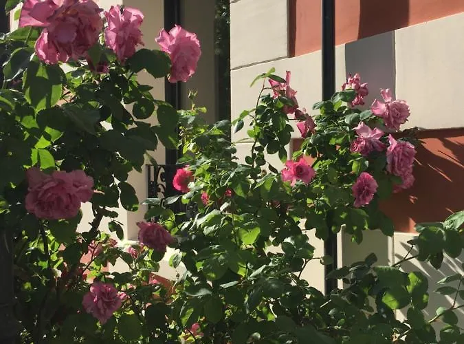 Le Clos De La Pomponnette 4* Pomponne