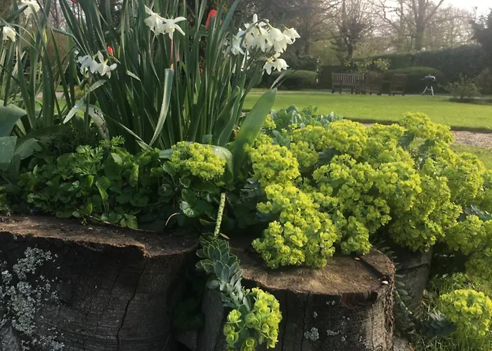 Bed & Breakfast Le Clos De La Pomponnette Pomponne