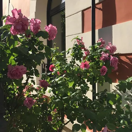 Le Clos De La Pomponnette 4* Pomponne